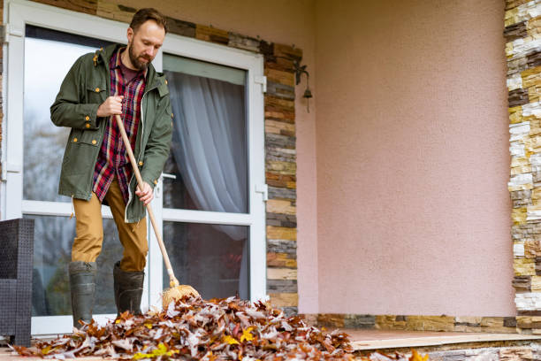 Best Basement Cleanout Services  in Braidwood, IL